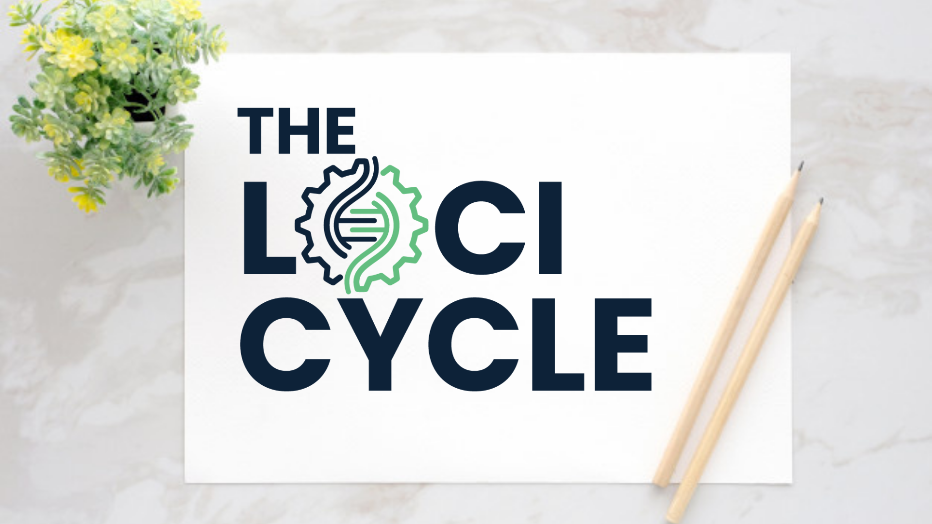 Loci Cycle Review Price Demo